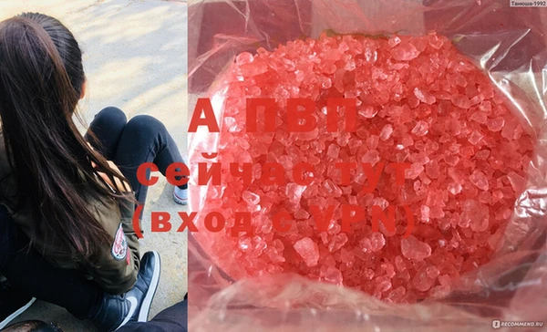 Альфа ПВП Дмитриев