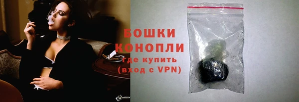 сатива Дмитров